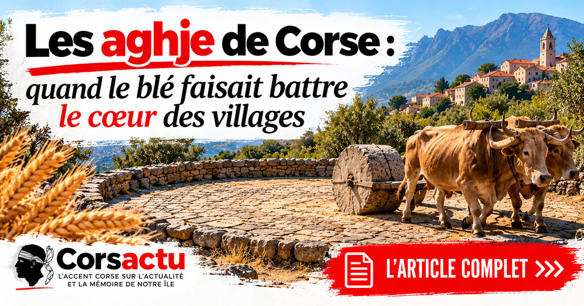 Les aghje de Corse : quand le blé faisait battre le cœur des villages