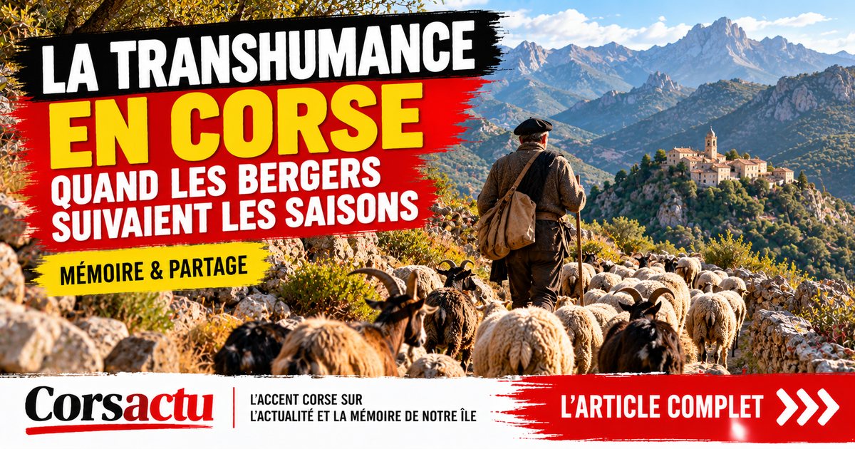 La transhumance en Corse : quand les bergers suivaient les saisons